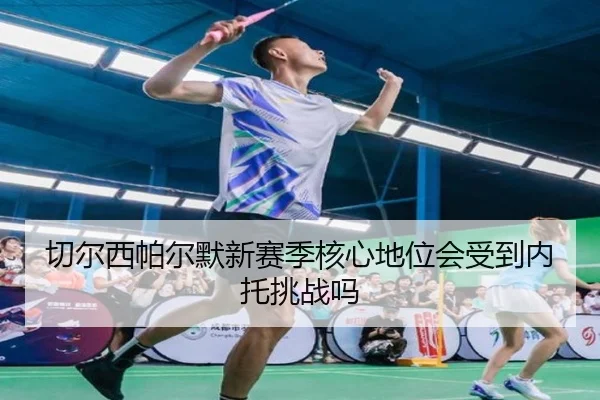 qie-er-xi-pa-er-mo-xin-sai-ji-he-xin-di-wei-hui-shou-dao-nei-tuo-tiao-zhan-ma-3-258.jpg